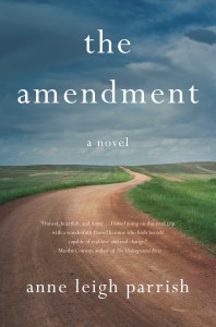 The Amendment cover as JPEG (002)