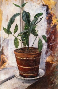 edvard munch potted plant on windowsill