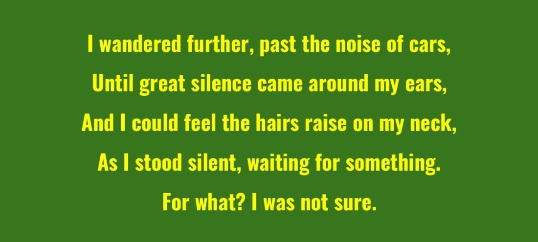 shoultz poem-page-001 - Edited