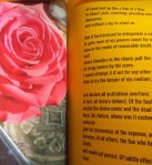 ez rose glimpse 2 - Edited