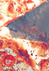 We Love To Watch Zee Cockroaches - Pizza by Laura Kerr